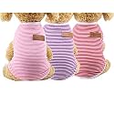 KUTKUT Classic Dog Striped TShirt Cat Clothes for Small Dogs, Stretchy Summer Cotton Cat Vest Doggy Tank Top For Cavalier King, Lhasa Apso, French Bulldog, Pug etc (Size: 2XL,Chest: 55cm, Length:45cm)