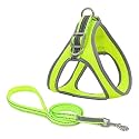 KUTKUT Adjustable Reflective & Breathable | Air Mesh, No Pull Vest Harness and Leash for Medium Dogs and Cats (Size: L, Adjustable Chest: 43cm-52cm)