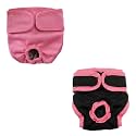 KUTKUT Combo of 2 Reusable Pet Cotton Physiological Pants, Washable Sanitary Pet Diaper| Adjustable Menstruation Underwear for Female Dog in Heat Period (Size: XL, Adjustable Waist: 50-75cm)