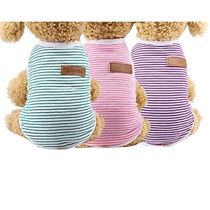 kutkut combo of 3 striped t-shirt puppy clothes for small dogs cats summer cotton vest doggy tee tank top for shihtzu toypoodle lhasa bichon etc amp cats size xl chest 50cm length 40cm