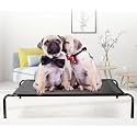 KUTKUT Cooling Elevated Dog Bed, Portable Durable Summer Frame Raised Pet Cot with Washable &amp; Breathable Mesh | Cot Bed for Extra Large Medium Small Dogs for Camping or Beach (M)