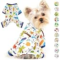 KUTKUT Dog Bodysuit Pjs Spring Summer Autumn Dog Clothes for Puppies Small Dogs Kitten Girl - Boy, Soft Stretchy Cat Clothes Doggie Onesies Cat Pet Jammies Outfit (Size: M, Chest: 40cm, Length: 30cm)
