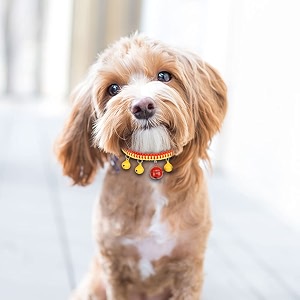 kutkut hand woven dog - cat bells collar necklace