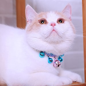 kutkut hand woven dog - cat bells collar necklace