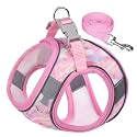 KUTKUT Summer Cat &amp; Small Dog Chest Harness and Leash, Anti-Escape Adjustable Soft Mesh Cat Leash and Vest Harness Set for All Types of Cats &amp; Small Dogs Vests (Size: S, Chest: 40-45cm)