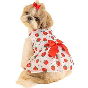kutkut small girl dog amp cat dress with lovely silk bow pet apparel  puppy summer dress birthday pet apparel dresses  frock dresses for shihtzu poodle etc size l bust45cm length 35cm
