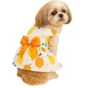 KUTKUT Small Girl Dog &amp; Cat Summer Dress with Lovely Bow Pet Apparel | Puppy Dress Birthday Pet Apparel Dresses | Frock Dresses for Cavalier King, Frenchi, etc (Size: 2XL, Bust:55cm)
