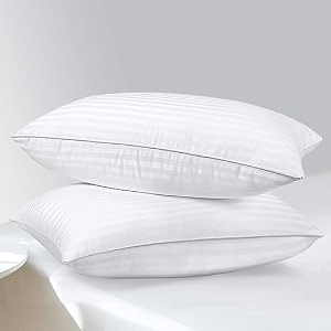 standard pillows2 pack hotel quality premium fiber 3d conjugated pillows takiya set of 20inch30inch white sattin
