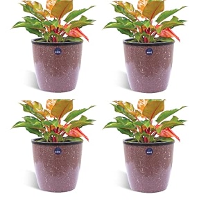 kwel flower pot plastic deco planter with inner pot attractive pot for garden balcony office home - light brown - size 5 inch - pack of 4