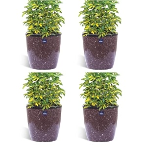 kwel flower pot plastic deco planter with inner pot attractive pot for garden balcony office home - brown - size 5 inch - pack of 4