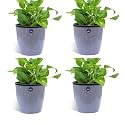 KWEL Flower Pot Plastic Deco Planter with Inner Pot Attractive Pot for Garden Balcony Office Home - Grey - Size 5 Inch - Pack of 4