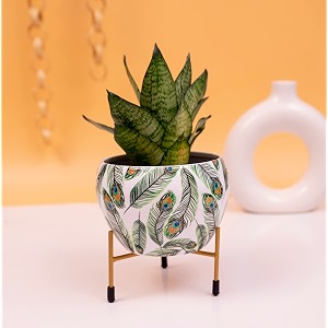 kyari beautiful peacock feather print metal pot with stand rust-free powder coating indoor outdoor use home office decor plants not included pot size 10  13cm stand height 75cm