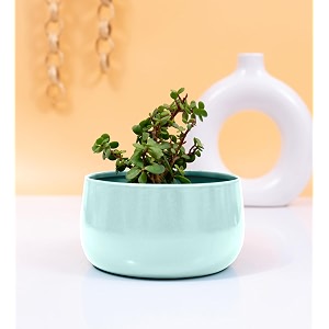 kyari handi metal pots for indoor plants with drainage hole best flower pots amp planters for home decor living room kitchen bedroom table top office gifting pestal green