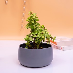 kyari handi metal pots for indoor plants with drainage hole amp stand best flower pots amp planters for home decor living room kitchen bedroom table top office gifting grey pack of 1