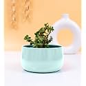 KYARI Handi Metal Pots for Indoor Plants with Drainage Hole (Best Flower Pots &amp; Planters for Home Decor, Living Room, Kitchen, Bedroom, Table Top, Office, Gifting, Pestal Green)