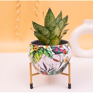 kyari tropical leaf print metal pot with stand rust-free powder coating indoor amp outdoor use home amp office decor plants not included pot size 10  13cm stand height 75cm