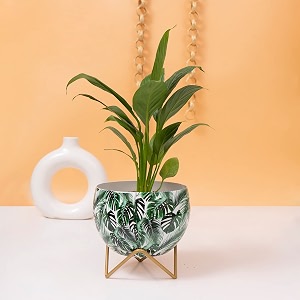 kyari adorning metallic round shape big greeny leafy print planter  design for indoor amp outdoor decor  rust-free stand  size 10  145  14 cm  plants not included
