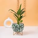 KYARI Adorning Metallic Round Shape Big Greeny Leafy Print Planter | Design for Indoor &amp; Outdoor Decor | Rust-Free Stand | Size 10 * 14.5 * 14 Cm | Plants Not Included