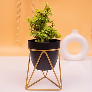 kyari vanessa black triangular metal oblong pots amp planters pack of 1