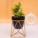 KYARI Vanessa Black Triangular, Metal Oblong Pots &amp; Planters Pack of 1
