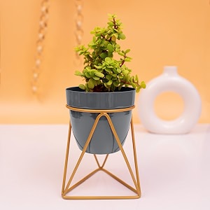 kyari vanessa grey triangular metal oblong pots amp planters pack of 1