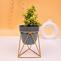 KYARI Vanessa Grey Triangular, Metal Oblong Pots &amp; Planters Pack of 1