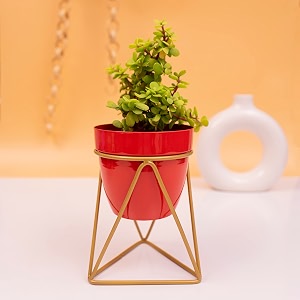 kyari vanessa red triangular metal oblong pots amp planters pack of 1