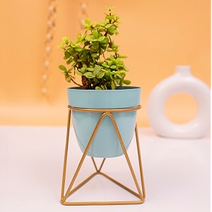 kyari vanessa sky triangular metal oblong pots amp planters pack of 1