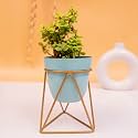KYARI Vanessa Sky Triangular, Metal Oblong Pots &amp; Planters Pack of 1