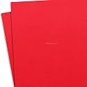 KYDEX Thermoform Sheet - (P1 Texture) - (.060 Thickness) - (8in x 8in) - (E.M.T. Red) - (2 Sheets) - DIY Holster Making, Airsoft Armor, Cosplay Uniforms, Keel Guards