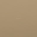 KYDEX Thermoform Sheet - (P1 Texture) - (.080 Thickness) - (12in x 24in) - (Flat Dark Earth Fall) - (1 Sheet) - DIY Holster Making, Airsoft Armor, Cosplay Uniforms