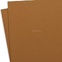 KYDEX Thermoform Sheet - (P1 Texture) - (.080 Thickness) - (8in x 12in) - (Coyote Brown) - (2 Sheets) - DIY Holster Making, Airsoft Armor, Cosplay Uniforms
