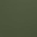 KYDEX Thermoform Sheet - (P1 Texture) - (.080 Thickness) - (12in x 24in) - (Ranger Green) - (1 Sheet) - DIY Holster Making, Airsoft Armor, Cosplay Uniforms, RC Models