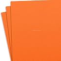 KYDEX Thermoform Sheet - (P1 Texture) - (.080 Thickness) - (12in x 24in) - (Hunter Orange) - (3 Sheets) - DIY Holster Making, Airsoft Armor, Cosplay Uniforms