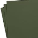 KYDEX Thermoform Sheet - (P1 Texture) - (.080 Thickness) - (12in x 24in) - (Ranger Green) - (3 Sheets) - DIY Holster Making, Airsoft Armor, Cosplay Uniforms, RC Models