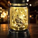 kyoryuger Bearded Dragon Gifts for Women/Men Bearded Dragon Solar Lanterns Mom Birthday Animal Lovers Lantern Animal Memorial Lights Solar Garden Decoration for Yard, Patio,Backyard,Porch Torches