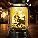 kyoryuger Bernese Mountain Dog Gifts for Women/Men Bernese Mountain Solar Lanterns Birthday Dog Lovers Lantern Pet Loss Dog Memorial Lights Solar Garden Decor Yard, Patio,Backyard,Porch Torches Light