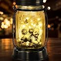 kyoryuger Bichon Dog Gifts for Women/Men Bichon Frise Solar Lanterns Birthday Dog Lovers Lantern Pet Loss Dog Memorial Lights Solar Garden Decoration for Yard, Patio,Backyard,Porch Torches Light