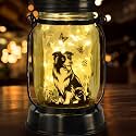 kyoryuger Border Collie Gifts for Women/Men Border Collie Solar Lanterns Dog Mom Birthday, Dog Lovers Lantern, Pet Loss Pet Memorial Lights, Solar Garden Decor Outside for Yard, Patio,Backyard,Porch
