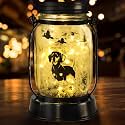 kyoryuger Dachshund Gifts for Women Dachshund Solar Lantern Outdoor Waterproof Hanging Solar Lights Dog Gifts Decorative Lanterns for Garden Decor,Patio,Lawn,Pathway,Yard for Women