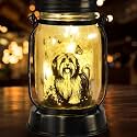 kyoryuger Shih Tzu Gifts for Women/Men Shih Tzu Solar Lanterns Dog Mom Birthday Dog Lovers Lantern Pet Loss Pet Memorial Lights Solar Garden Decoration for Yard, Patio,Backyard,Porch Torches Light
