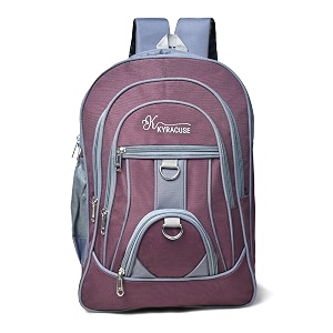 35L Pink Laptop Bag Backpack for menWomen