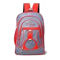 35L Pink Laptop Bag Backpack for menWomen