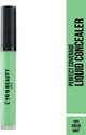 L'YON BEAUTY Perfect Coverage Liquid  Concealer