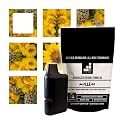 Lab-Tested, Single-Herb, Aromatherapy Portable Botanical Fragrance Stick from 5:1 Formulas. Purity and Safety Verified, Personal Aroma Accessory (Mullein)