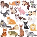 Labeol Diamond Art Kits for Kids Boys and Girls Ages 6-8-10-12 Easy to DIY Creative Diamond Art Sticker Craft by Numbers Kits for Kids and Adult Beginners (Cat)