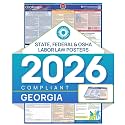 Labor Law Poster Georgia 2026, Paper Unlaminated, State, Federal Notices