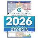 Labor Law Poster Georgia 2026, State, Federal Workplace Notices 26 x 39.5