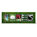 LACROSSE Custom Photo Name Art | Premium Unframed Poster | 36”x12"