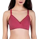 Women39s Seamless Padded Non Wired Cotton Stretch